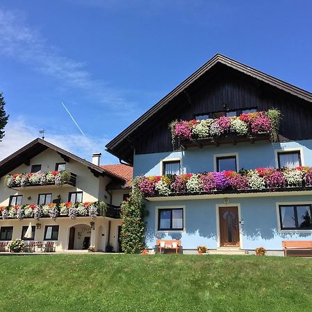 Pension Herned Mondsee Εξωτερικό φωτογραφία